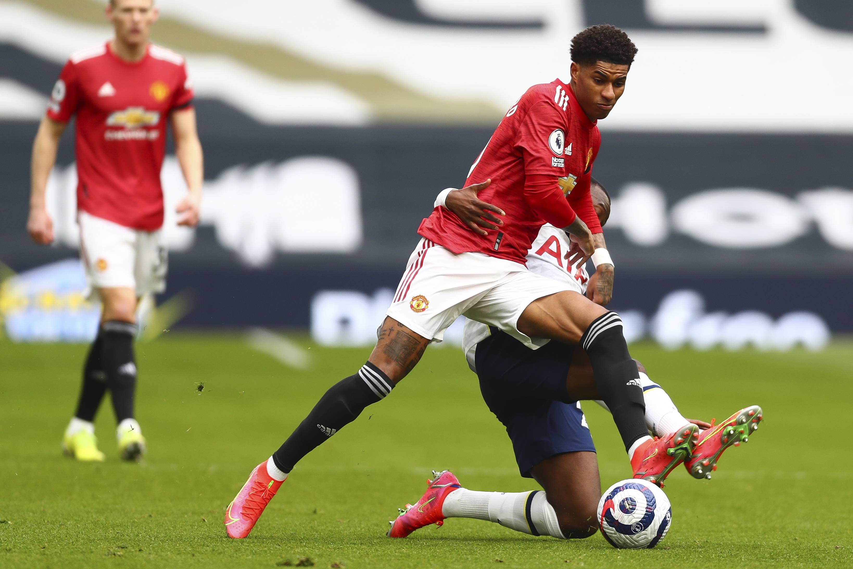 的具体培养 的具体培养